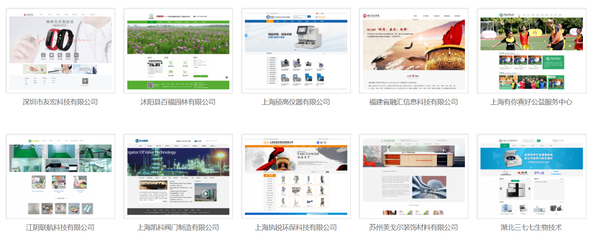網站二次開發(fā)