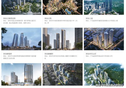 深業(yè)世紀(jì)山谷 南山核心地標(biāo)公寓，揭秘城市人居新典范